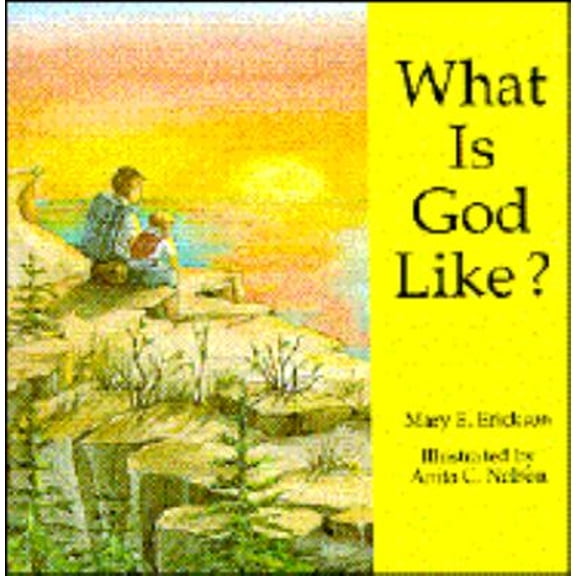 Pre-Owned What Is God Like (Hardcover) 1555132731 9781555132736