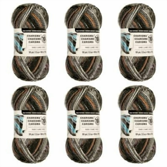 Loops & Threads Charisma Yarn - Multicolor Yarn for Knitting, Crochet, Weaving, Arts & Crafts - Ash, Bulk 6 Pack