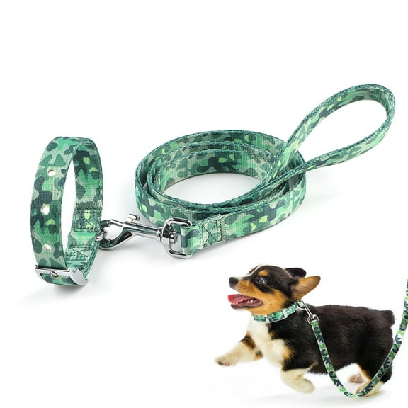 Charkool Dog Collar and Leash Set, Nylon Collar Leash for Small Dogs