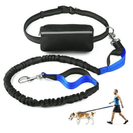 Glow in the dark dog leash walmart best sale