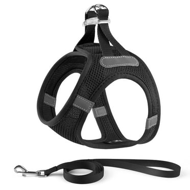 Charkool Reflective Dog Harness and Leash, Adjustable Breathable Dog Vest, Training for Extra Small Dogs,Black