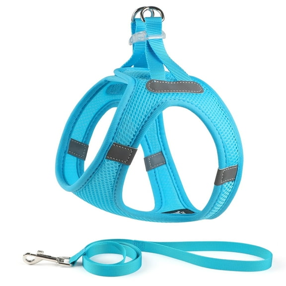 Charkool Reflective Dog Harness and Leash, Adjustable Breathable Dog Vest, Training for Extra Small Dogs,Blue