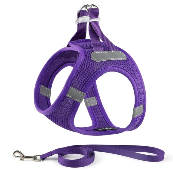 Charkool Reflective Dog Harness and Leash, Adjustable Breathable Dog Vest, Training for Extra Small Dogs,Purple
