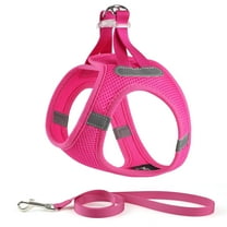 Charkool Reflective Dog Harness and Leash, Adjustable Breathable Dog Vest, Training for Extra Small Dogs, Red