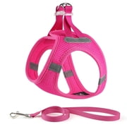 Charkool Reflective Dog Harness and Leash, Adjustable Breathable Dog Vest, Training for Extra Small Dogs, Red