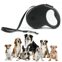 Good2Go LED Light Up Leash for Dogs in Blue 5 ft. Walmart