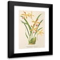 thumbnail image 1 of Charles Antoine Lemaire 11x14 Black Modern Framed Museum Art Print Titled - Odontoglossum Wallisii (1854-1896), 1 of 5