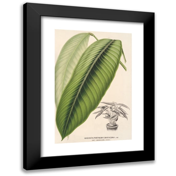Charles Antoine Lemaire 11x14 Black Modern Framed Museum Art Print Titled - Status Smaragdina (1854-1896)