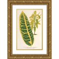 thumbnail image 1 of Charles Antoine Lemaire 11x14 Gold Ornate Wood Frame and Double Matted Museum Art Print Titled - Codiosum Var. Maximum (1854-1896), 1 of 4
