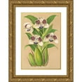 thumbnail image 1 of Charles Antoine Lemaire 11x14 Gold Ornate Wood Frame and Double Matted Museum Art Print Titled - Colax Jugosus (1854-1896), 1 of 4