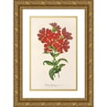 thumbnail image 1 of Charles Antoine Lemaire 11x14 Gold Ornate Wood Frame and Double Matted Museum Art Print Titled - Lychnis Haagena (1854-1896), 1 of 4