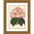 thumbnail image 1 of Charles Antoine Lemaire 11x14 Gold Ornate Wood Frame and Double Matted Museum Art Print Titled - Rhododendrum Ornatissimum (Hybr.) (1854-1896), 1 of 4