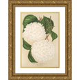 thumbnail image 1 of Charles Antoine Lemaire 11x14 Gold Ornate Wood Frame and Double Matted Museum Art Print Titled - Viburnum (1854-1896), 1 of 4