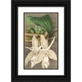 thumbnail image 1 of Charles Antoine Lemaire 12x18 Black Ornate Wood Framed Double Matted Museum Art Print Titled - Stanhopea Ivory Var. Attractiveness (1854-1896), 1 of 5