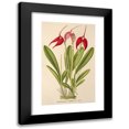 thumbnail image 1 of Charles Antoine Lemaire 13x18 Black Modern Framed Museum Art Print Titled - Masdevalia Lindeni (1854-1896), 1 of 5