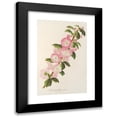 thumbnail image 1 of Charles Antoine Lemaire 13x18 Black Modern Framed Museum Art Print Titled - Prunus Triloba (1854-1896), 1 of 5