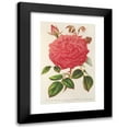 thumbnail image 1 of Charles Antoine Lemaire 13x18 Black Modern Framed Museum Art Print Titled - Rose (Ile-Bourbon) Var. Souvenir of the Malmaison with Pink Flowers (1854-1896), 1 of 5