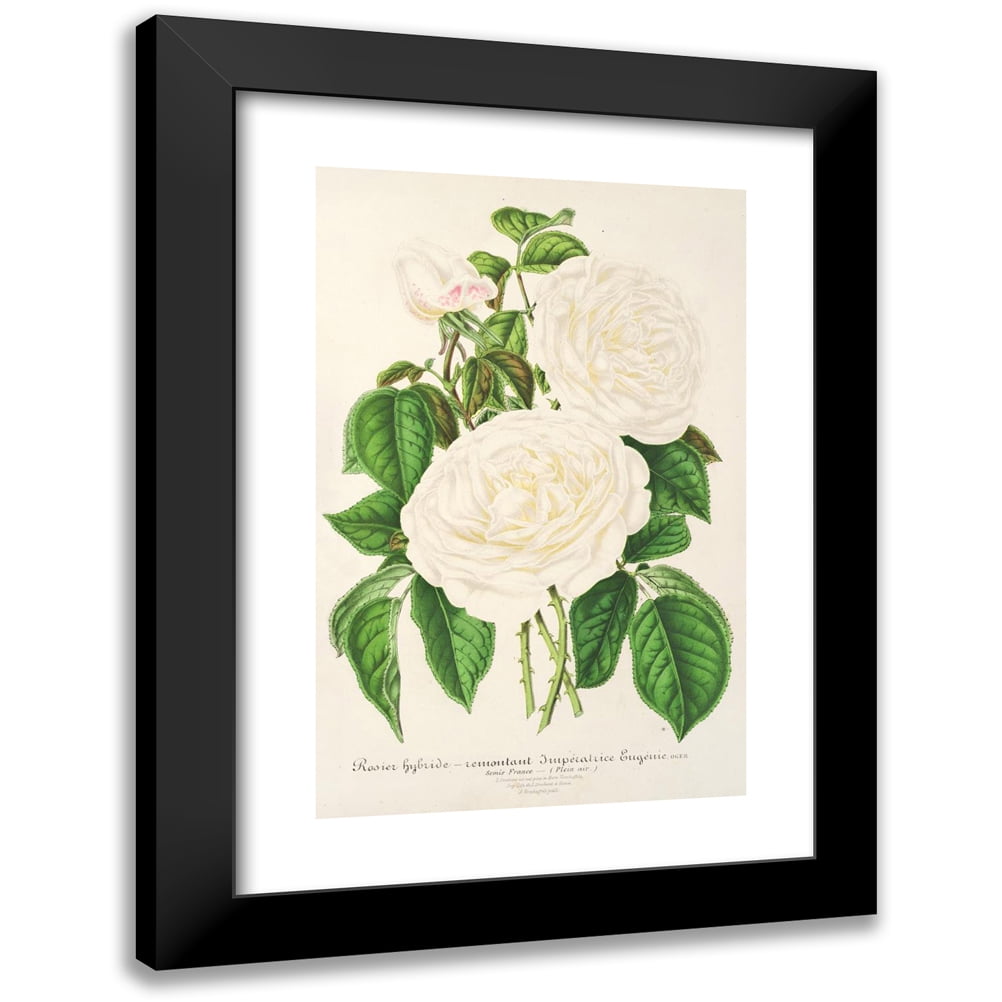 Charles Antoine Lemaire 13x18 Black Modern Framed Museum Art Print