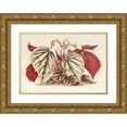 thumbnail image 1 of Charles Antoine Lemaire 14x11 Gold Ornate Wood Frame and Double Matted Museum Art Print Titled - Begonia Exceptional (1854-1896), 1 of 4