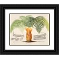 thumbnail image 1 of Charles Antoine Lemaire 14x12 Black Ornate Wood Framed Double Matted Museum Art Print Titled: Cibotium (1854-1896), 1 of 5