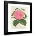 thumbnail image 1 of Charles Antoine Lemaire 14x18 Black Modern Framed Museum Art Print Titled - Camellia Viscount De Nieuland (1854-1896), 1 of 5