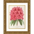 thumbnail image 1 of Charles Antoine Lemaire 14x18 Gold Ornate Wood Frame and Double Matted Museum Art Print Titled - Rhododendrum Fair (1854-1896), 1 of 4