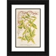 thumbnail image 1 of Charles Antoine Lemaire 17x24 Black Ornate Framed Double Matted Museum Art Print Titled: Lonicera Peryclimenum Golden (1854-1896), 1 of 5
