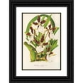 thumbnail image 1 of Charles Antoine Lemaire 17x24 Black Ornate Framed Double Matted Museum Art Print Titled: Miltonia Cuneata (1854-1896), 1 of 5