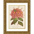 thumbnail image 1 of Charles Antoine Lemaire 17x24 Gold Ornate Framed and Double Matted Museum Art Print Titled - Azale Couproet the Flore Hort. Shut (1854-1896), 1 of 4