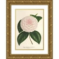 thumbnail image 1 of Charles Antoine Lemaire 17x24 Gold Ornate Framed and Double Matted Museum Art Print Titled - Camellia Constantin Tretiakoff (Hybr.) (1854-1896), 1 of 4