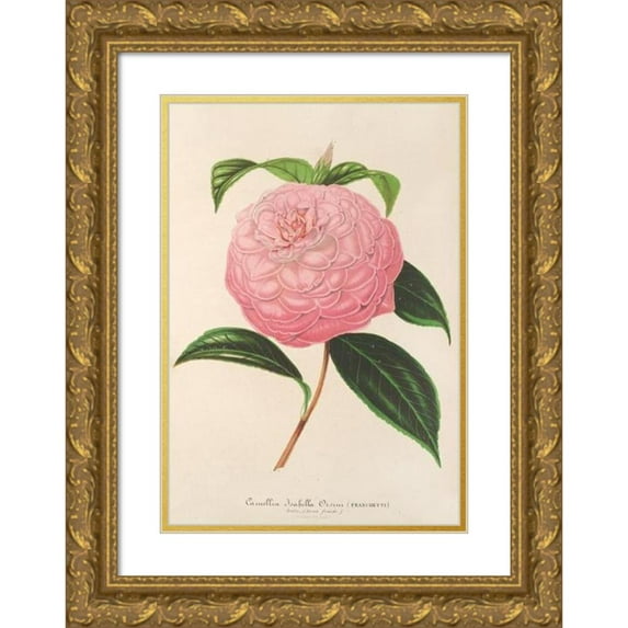 Charles Antoine Lemaire 17x24 Gold Ornate Framed and Double Matted Museum Art Print Titled - Camellia Isabella Orsini (Franchetti) (1854-1896)