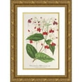 thumbnail image 1 of Charles Antoine Lemaire 17x24 Gold Ornate Framed and Double Matted Museum Art Print Titled - Clerodendrum Thomson (1854-1896), 1 of 4