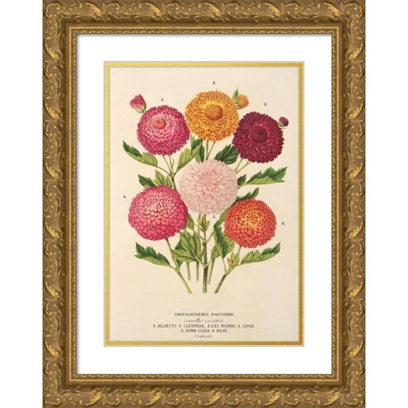 Charles Antoine Lemaire 17x24 Gold Ornate Framed and Double Matted Museum Art Print Titled - Fall Chrysanthemum (1854-1896)