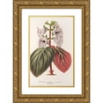 thumbnail image 1 of Charles Antoine Lemaire 17x24 Gold Ornate Framed and Double Matted Museum Art Print Titled - Gloxinia Maculata Var. Conspicuous (1854-1896), 1 of 4