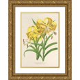 thumbnail image 1 of Charles Antoine Lemaire 17x24 Gold Ornate Framed and Double Matted Museum Art Print Titled - Lily Leichtlinii (1854-1896), 1 of 4