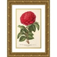 thumbnail image 1 of Charles Antoine Lemaire 17x24 Gold Ornate Framed and Double Matted Museum Art Print Titled - Rose (Hybr. Remont) Mr. Journeaux (1854-1896), 1 of 4