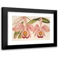 thumbnail image 1 of Charles Antoine Lemaire 18x13 Black Modern Framed Museum Art Print Titled - Cattleya Eldorado Splendens (1854-1896), 1 of 5