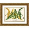thumbnail image 1 of Charles Antoine Lemaire 18x13 Gold Ornate Wood Frame and Double Matted Museum Art Print Titled - Gymnogramma Laucheana, Var. Gigantea (1854-1896), 1 of 4