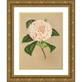 thumbnail image 1 of Charles Antoine Lemaire 18x24 Gold Ornate Framed and Double Matted Museum Art Print Titled - Camellia Princess Clotilde (1854-1896), 1 of 4