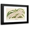 thumbnail image 1 of Charles Antoine Lemaire 24x17 Black Modern Framed Museum Art Print Titled - Aerides Lobbii (1854-1896), 1 of 5