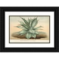 thumbnail image 1 of Charles Antoine Lemaire 24x17 Black Ornate Framed Double Matted Museum Art Print Titled: Agave Schraffelti (1854-1896), 1 of 5
