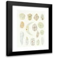 thumbnail image 1 of Charles Atwood Kofoid 11x14 Black Modern Framed Museum Art Print Titled - The Free-Living Unarmored Dinoflagellata Pl 4 (1921), 1 of 5