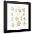 thumbnail image 1 of Charles Atwood Kofoid 14x18 Black Modern Framed Museum Art Print Titled - The Free-Living Unarmored Dinoflagellata Pl 2 (1921), 1 of 5