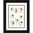 thumbnail image 1 of Charles Atwood Kofoid 18x24 Black Ornate Framed Double Matted Museum Art Print Titled: The Free-Living Unarmored Dinoflagellata Pl 12 (1921), 1 of 5