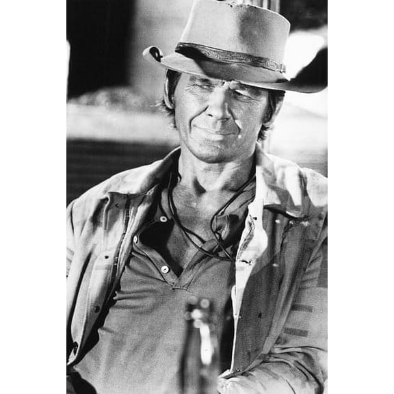 Charles Bronson 24x36 Poster portrait Once Upon A Time in the West