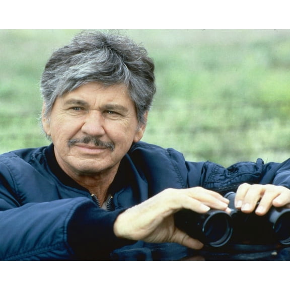 Charles Bronson With Binoculars Death Wish 4 24x36 Classic Hollywood Poster