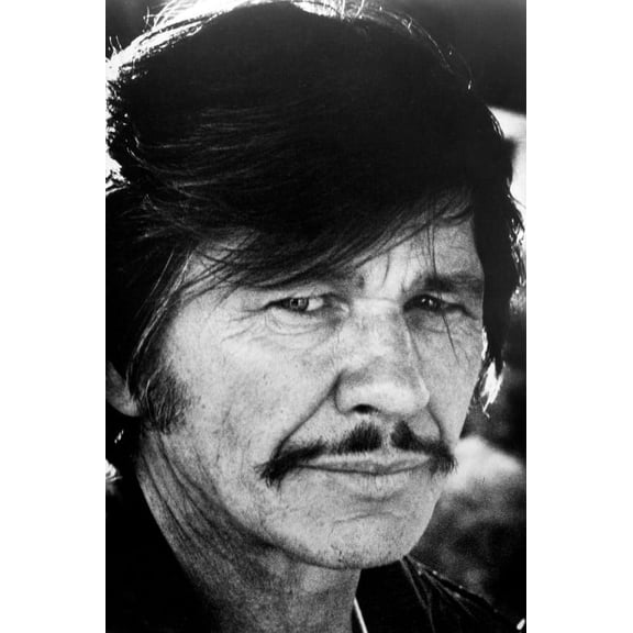 Charles Bronson in Mr. Majestyk 24x36 Poster