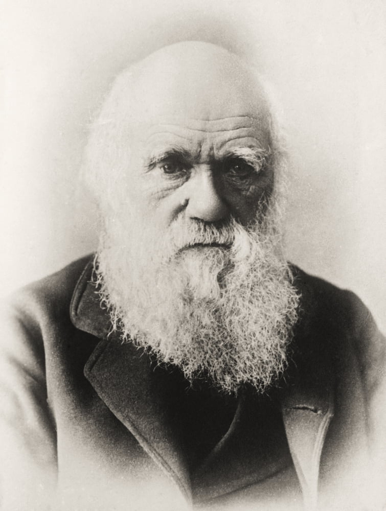 Charles Darwin 1809 1882 English Naturalist In Old Age Canvas Art - Ken Welsh Design Pics (24 x 34)