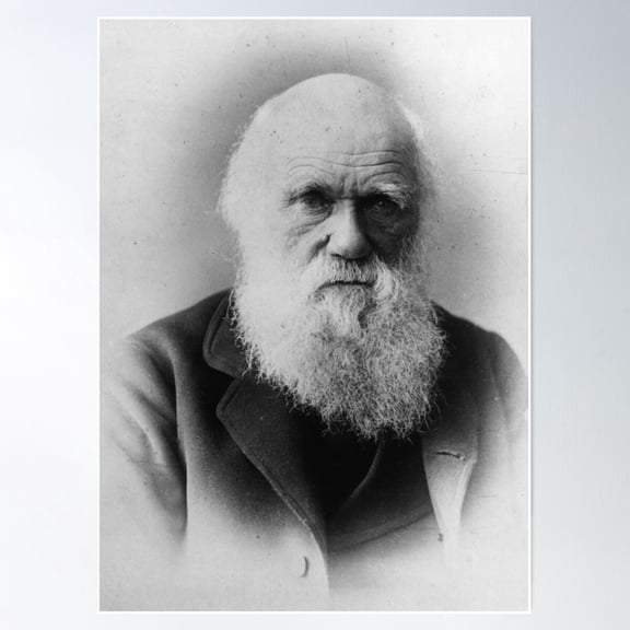 Charles Darwin Poster Wall Art, Modern Wall Decor For Living Room Bedroom, 12x18 UNFRAMED