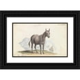 thumbnail image 1 of Charles Hamilton Smith 14x10 Black Ornate Wood Framed Double Matted Museum Art Print Titled: The Hinny (1837), 1 of 5